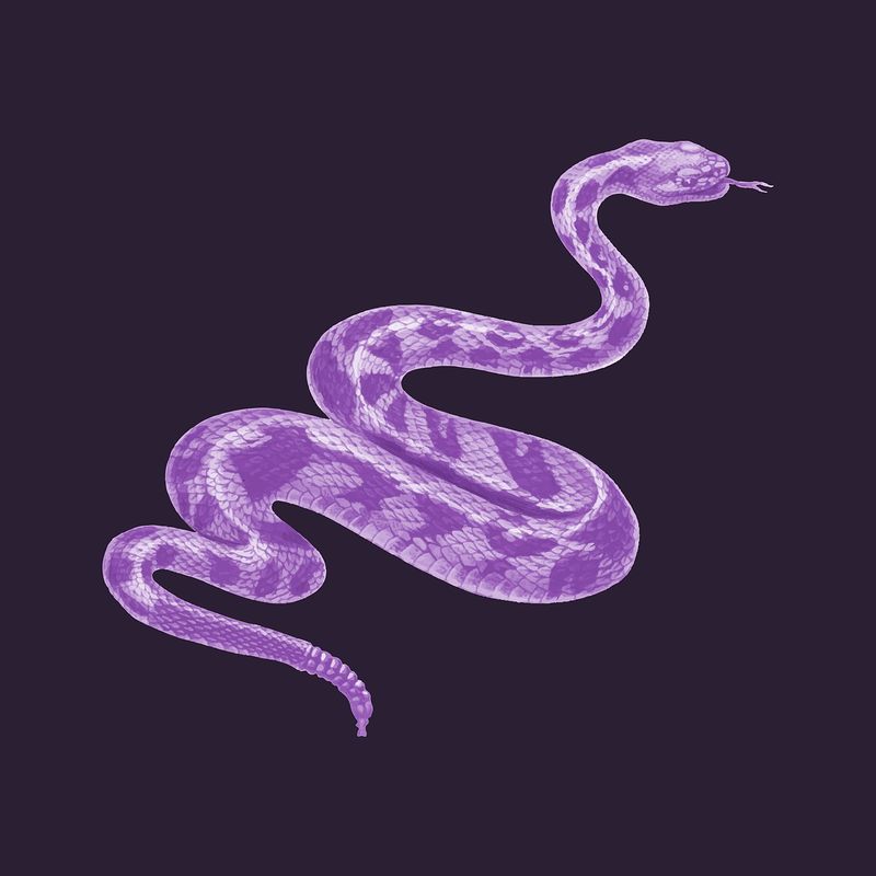 Snake Aesthetic Wallpapers