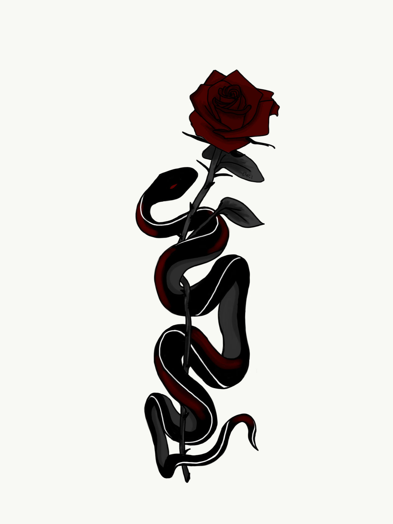 Snake And Rose Wallpapers