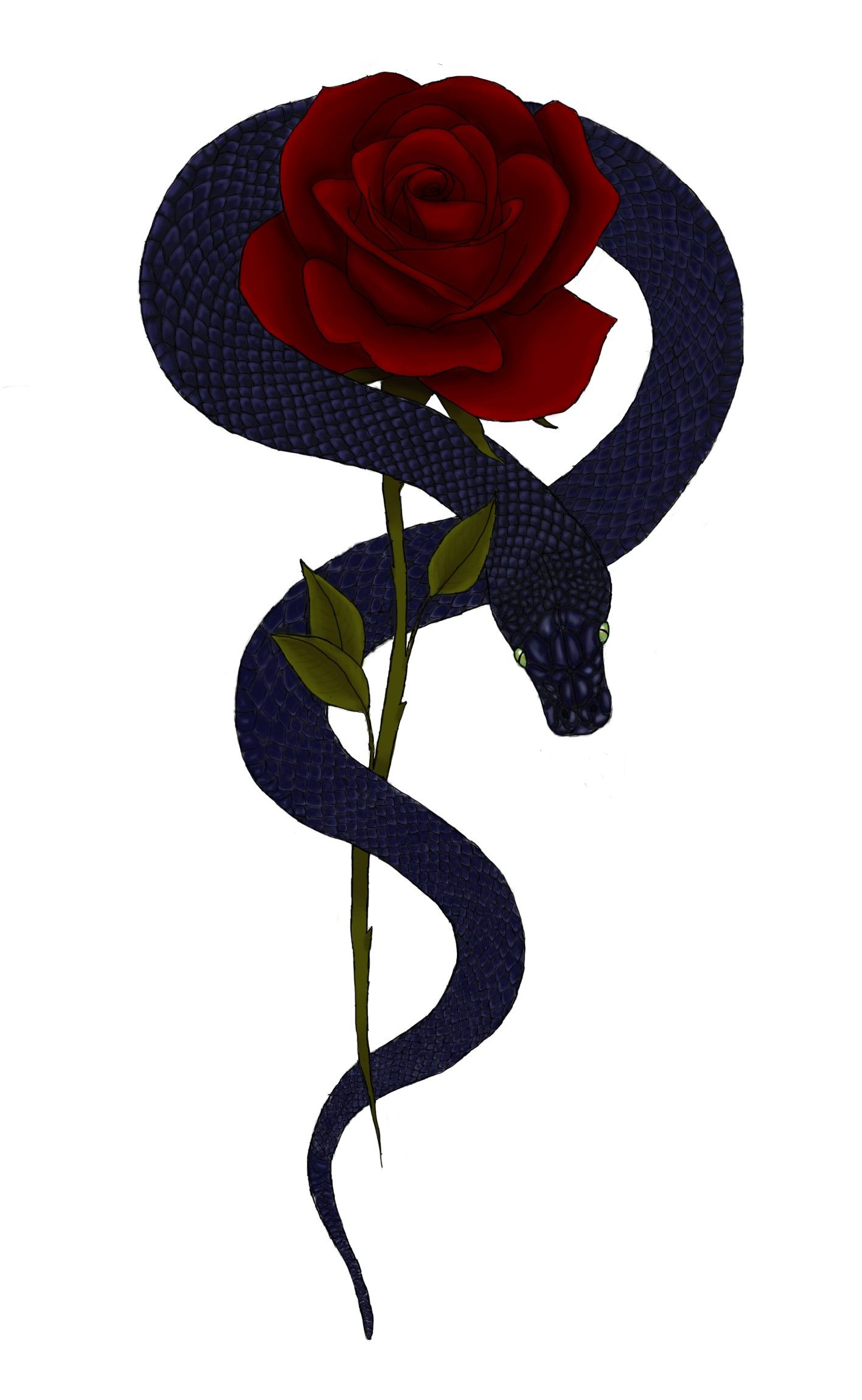 Snake And Rose Wallpapers