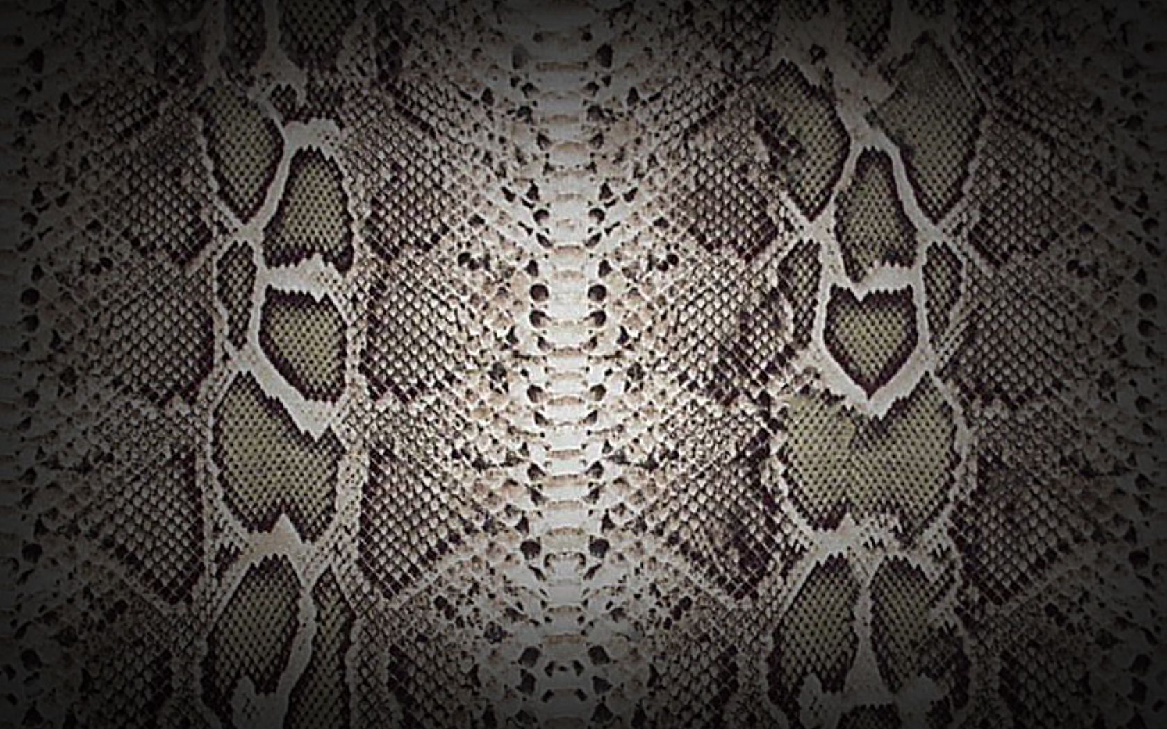 Snakeskin Iphone Wallpapers