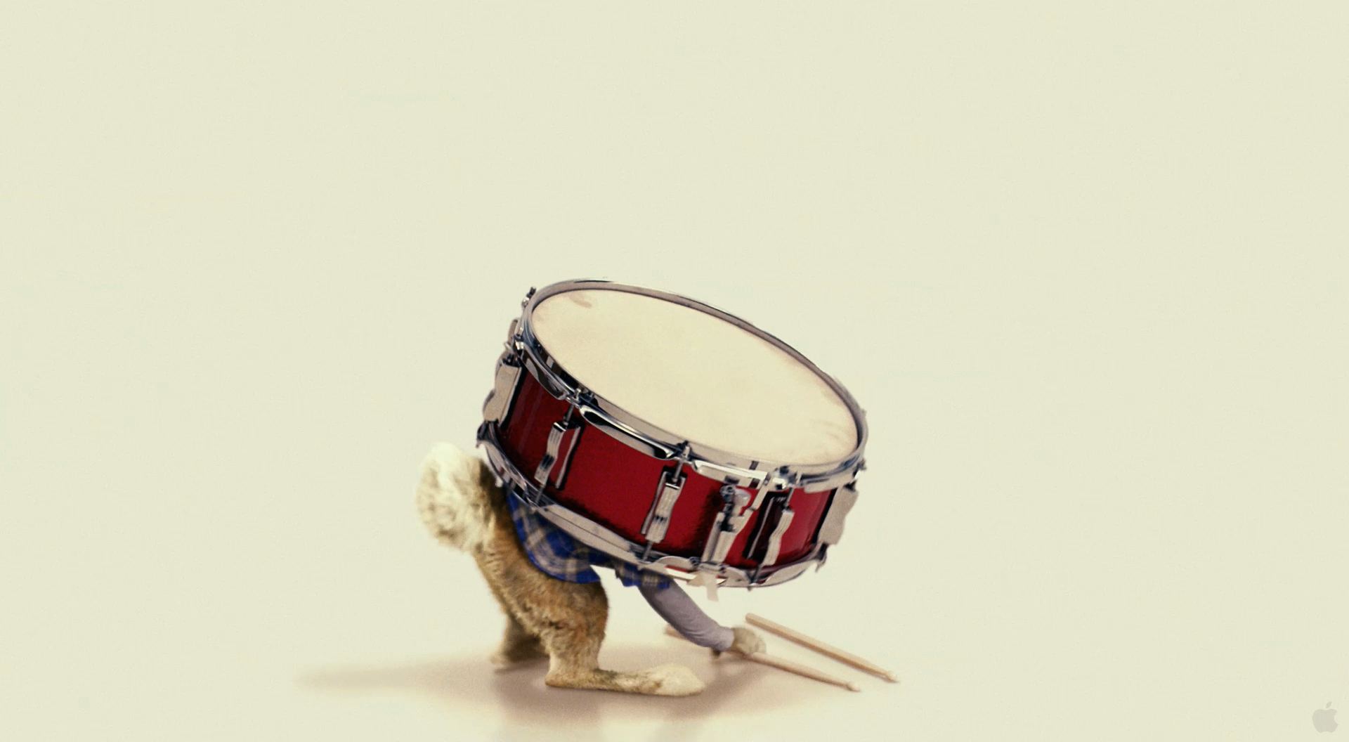 Snare Drum Wallpapers