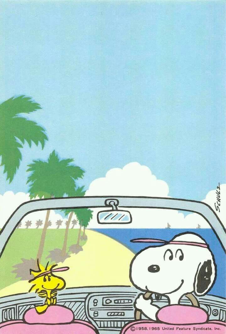 Snoopy Summer Wallpapers