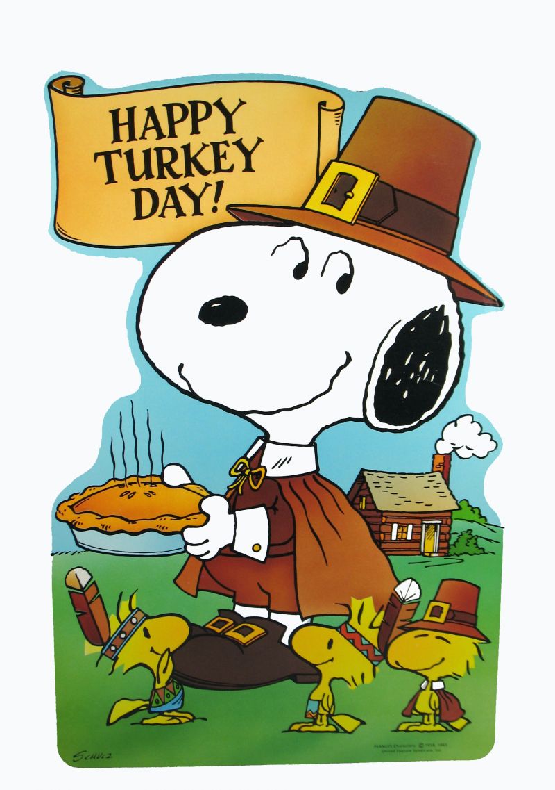 Snoopy Thanksgiving Pic Wallpapers