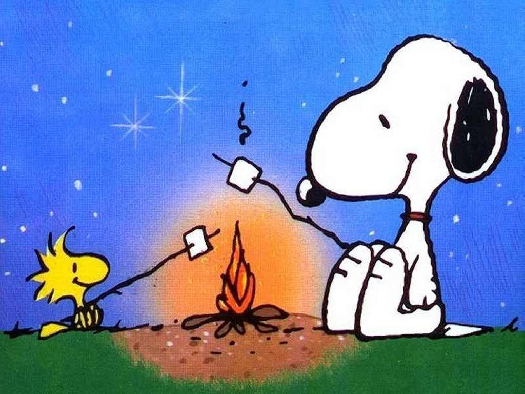 Snoopy Thanksgiving Pic Wallpapers