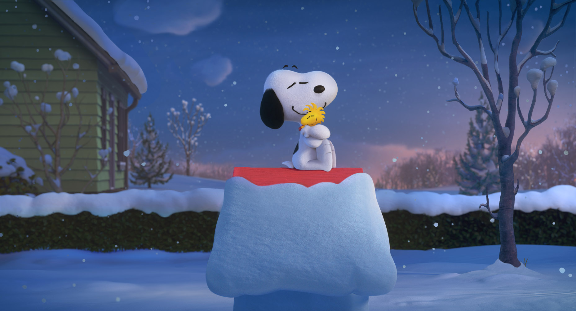 Snoopy Woodstock Images Wallpapers