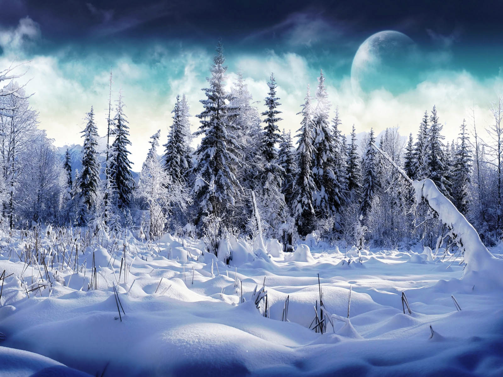 Snow Desktops Wallpapers