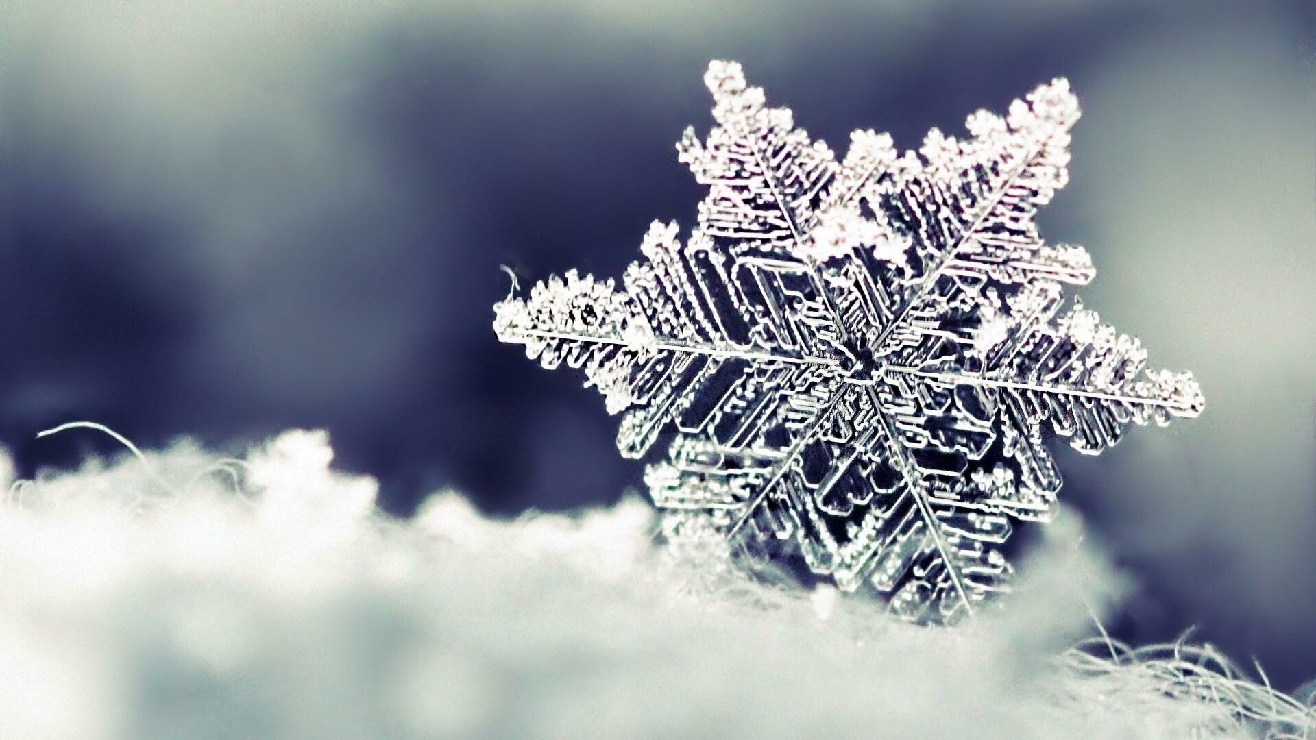 Snow Desktops Wallpapers