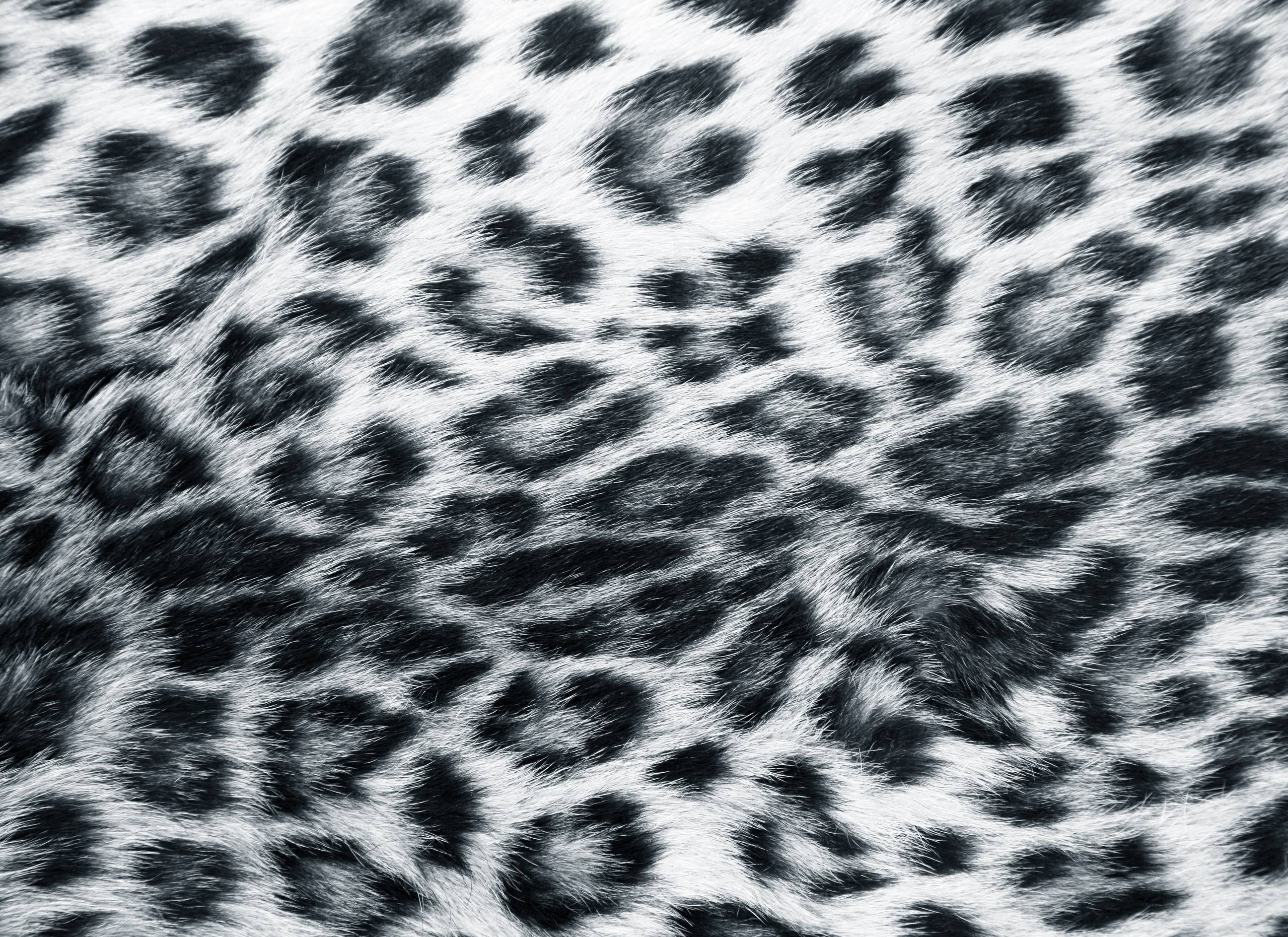 Snow Leopard Print Wallpapers