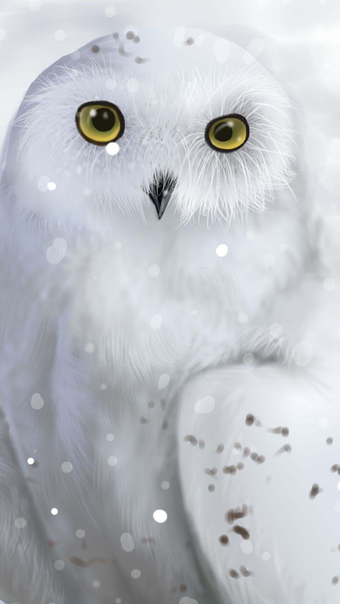 Snow Owl Wallpapers