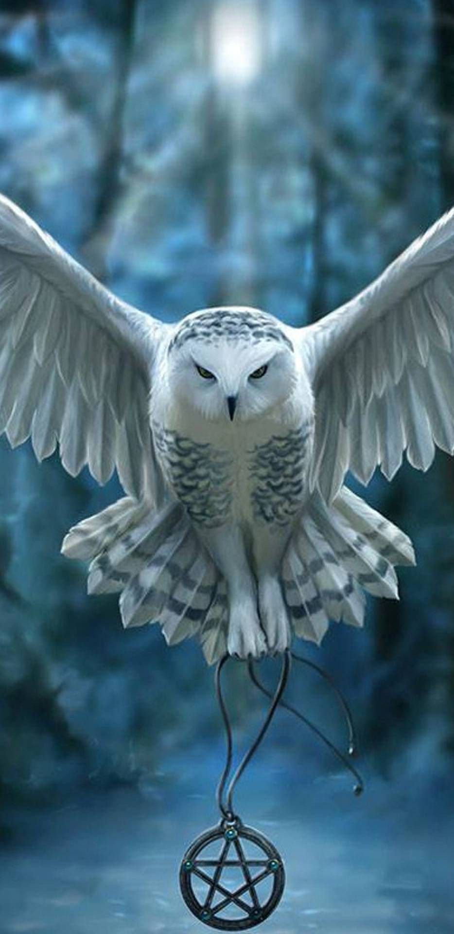 Snow Owl Wallpapers