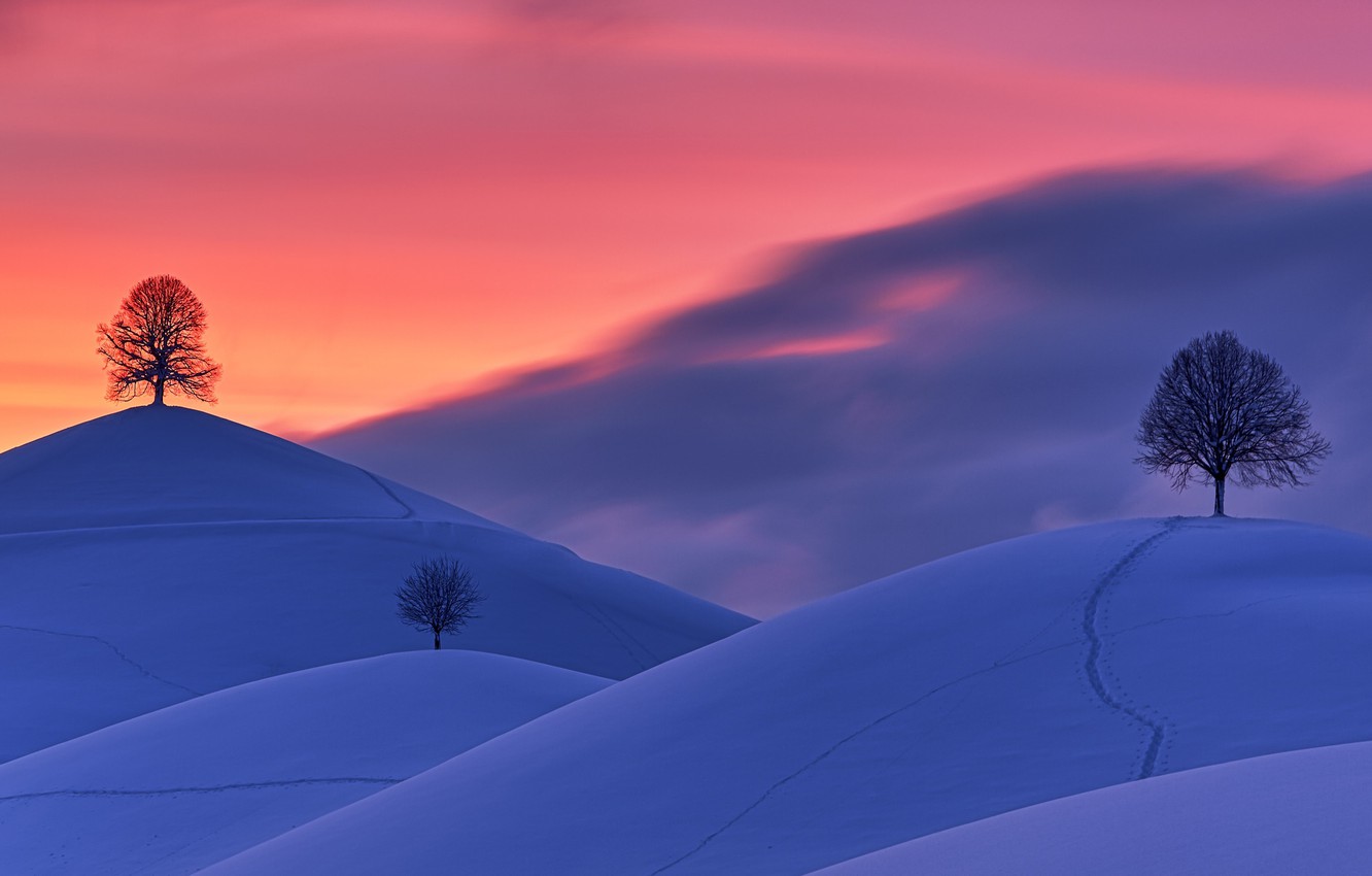 Snow Sunset Wallpapers