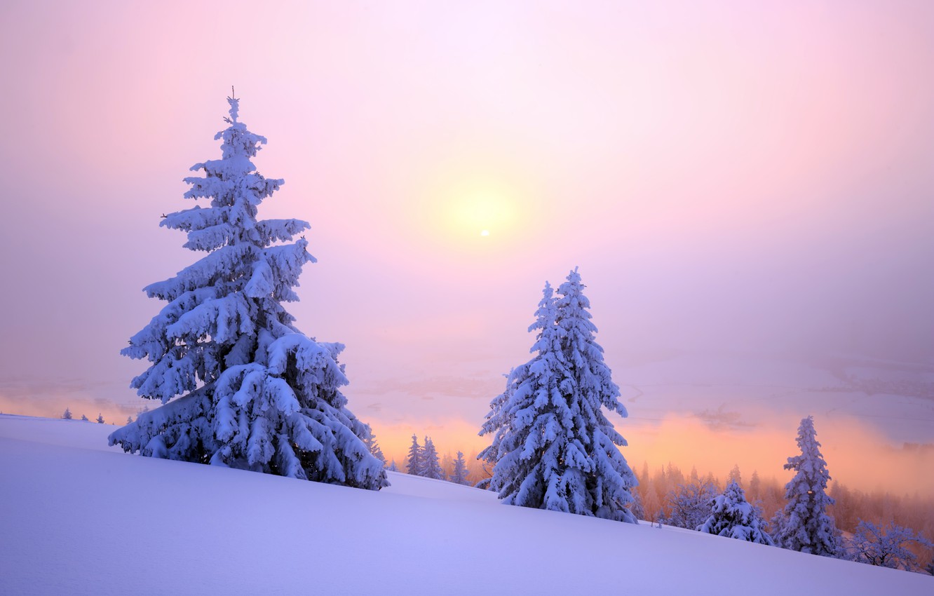 Snow Sunset Wallpapers
