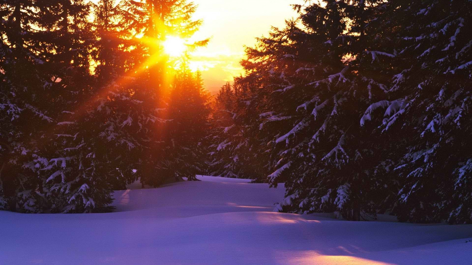 Snow Sunset Wallpapers