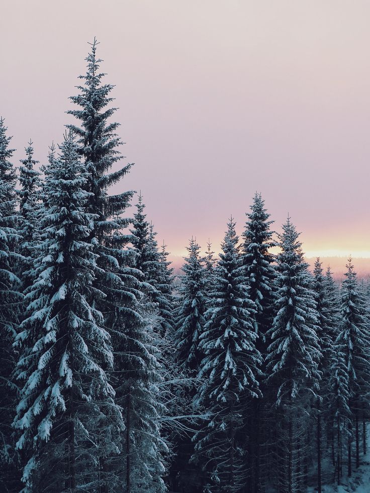 Snow Vsco Wallpapers