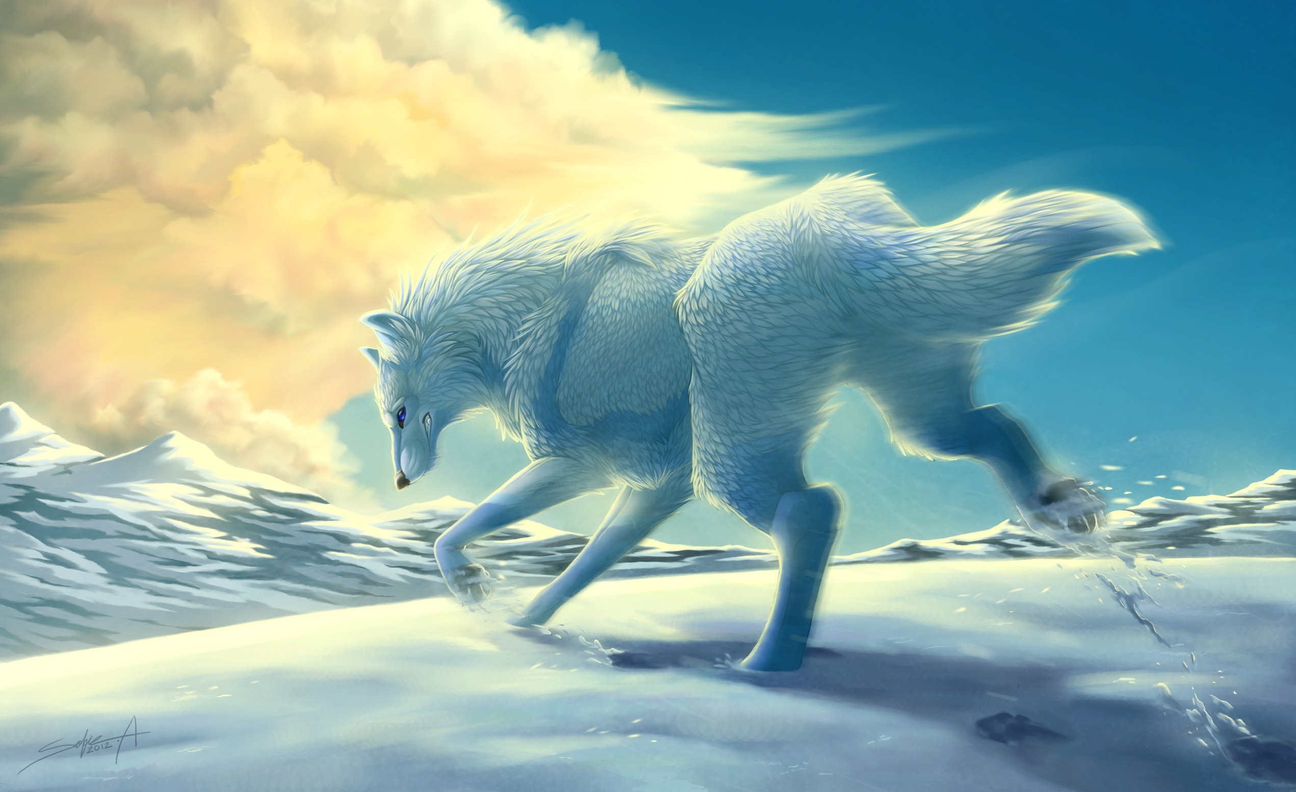 Snow Wolf Wallpapers