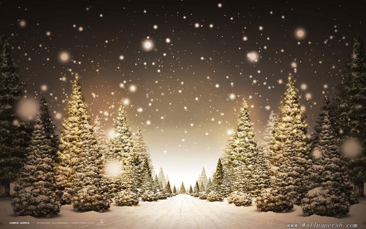 Snowey Christmas Trees Wallpapers