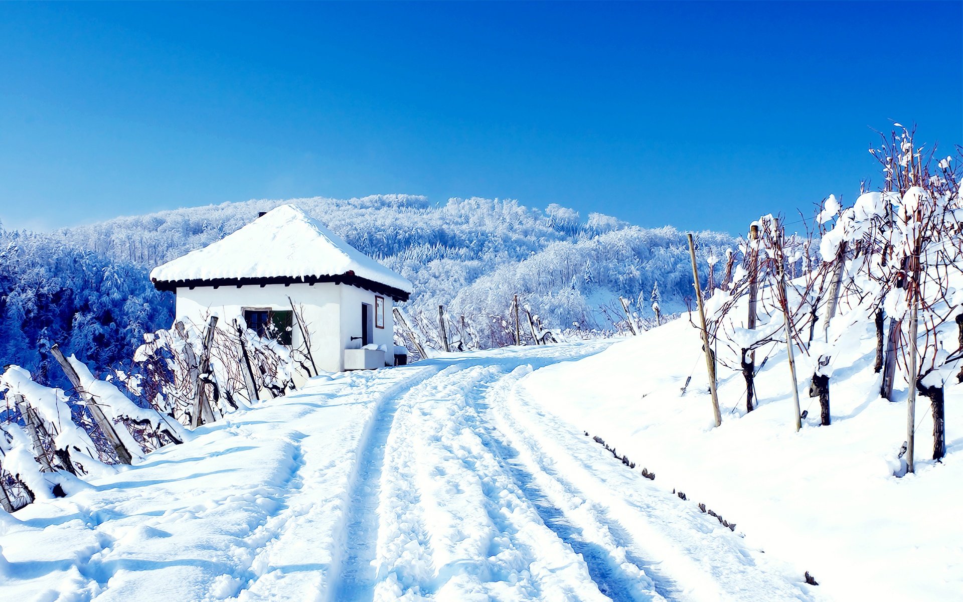 Snowy Cottages Wallpapers