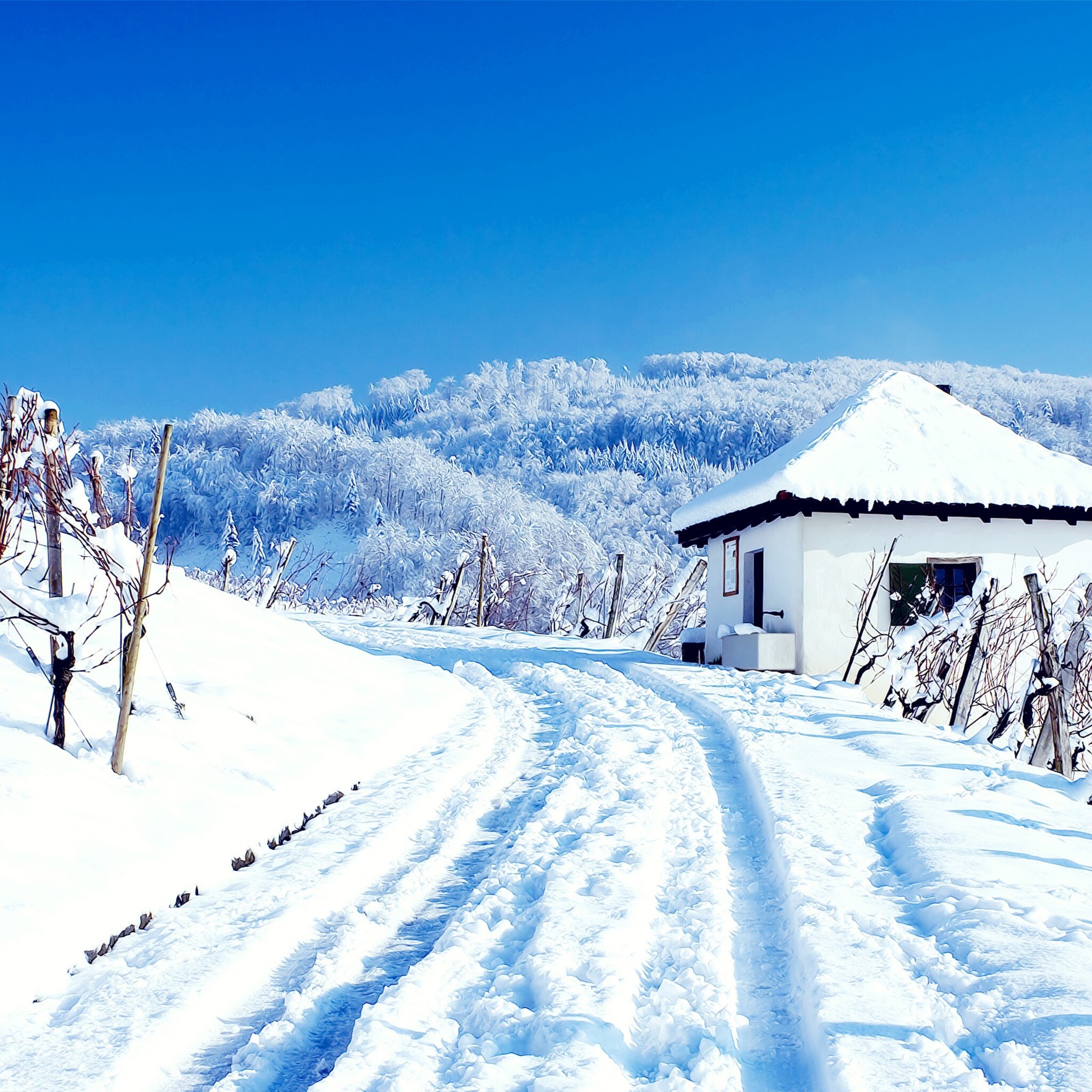 Snowy Cottages Wallpapers