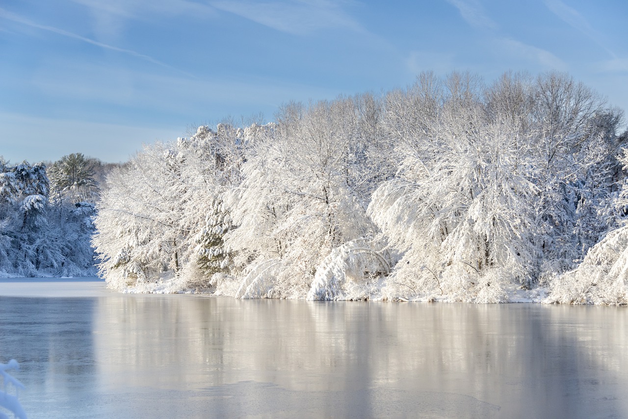 Snowy Lake Wallpapers