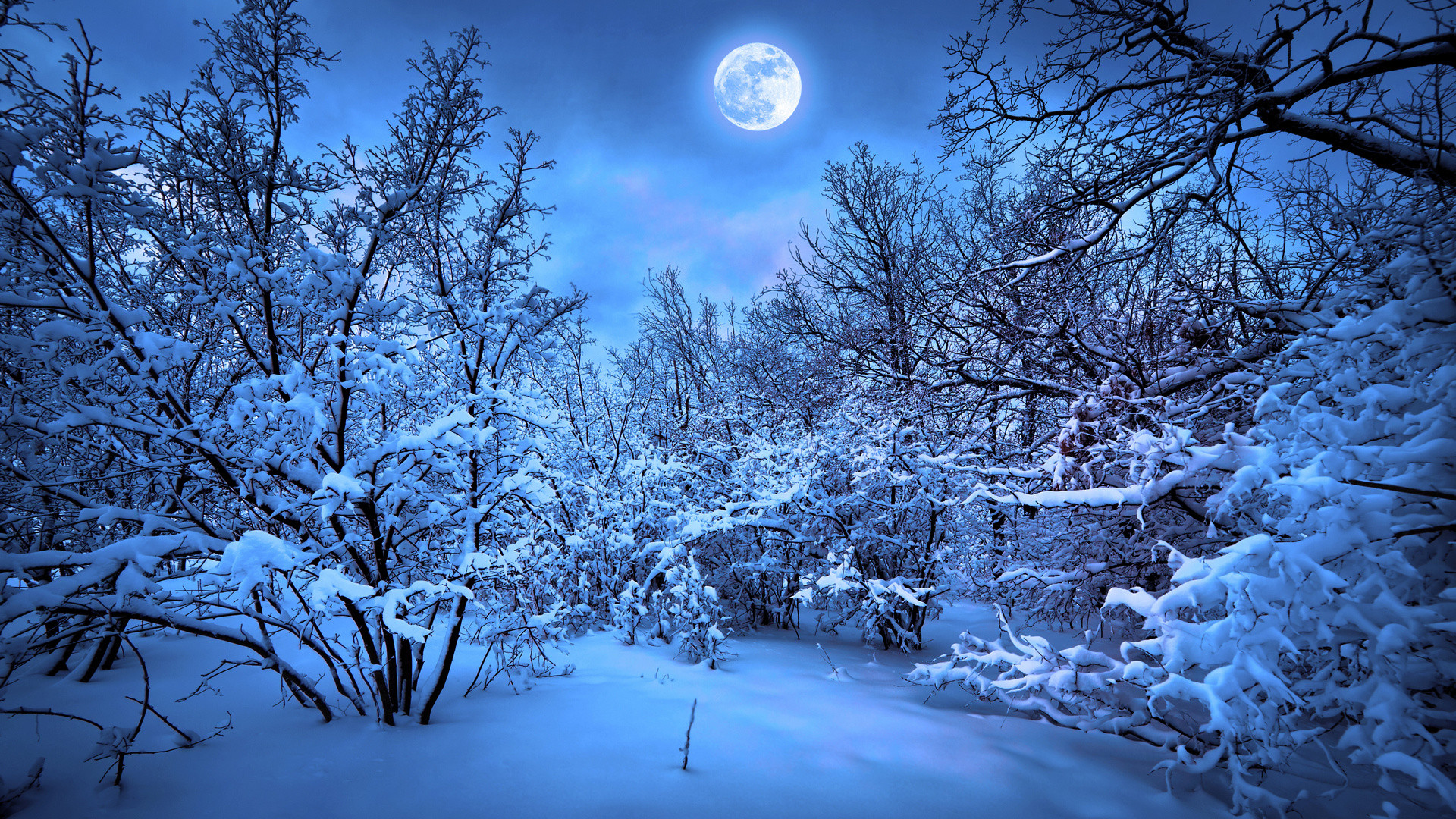 Snowy Night Wallpapers
