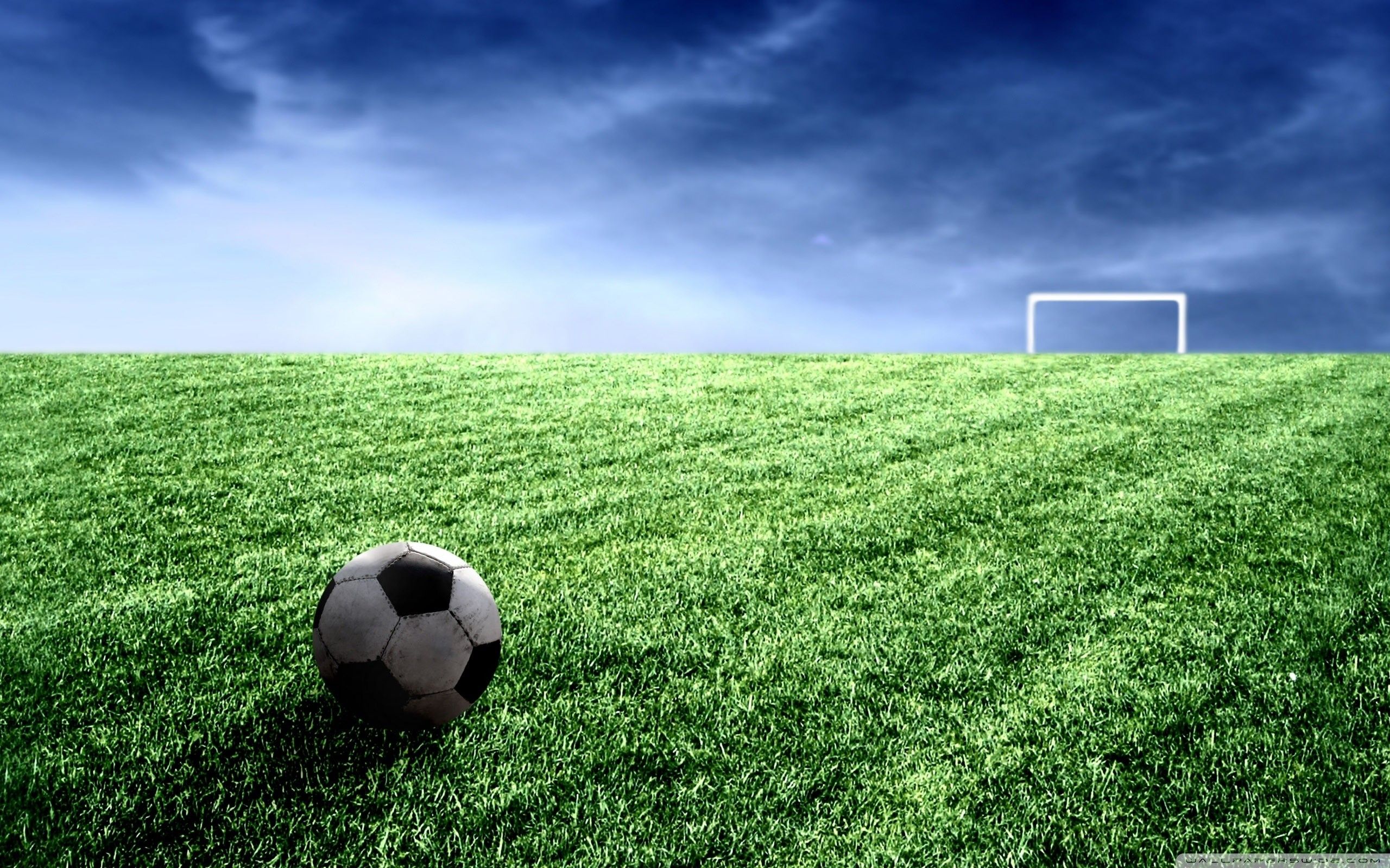 Soccer Free Wallpapers