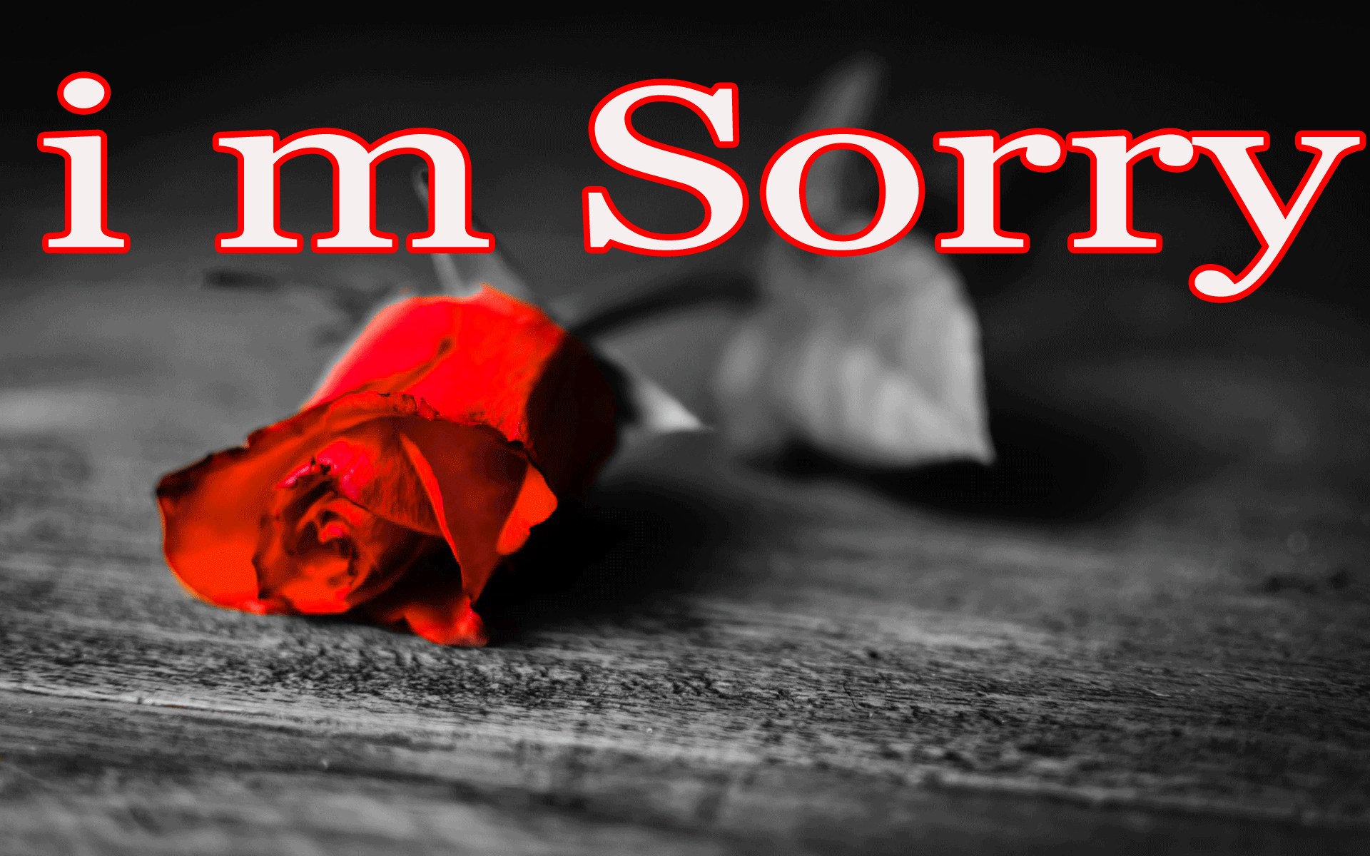 Sorry Wall Paper Wallpapers