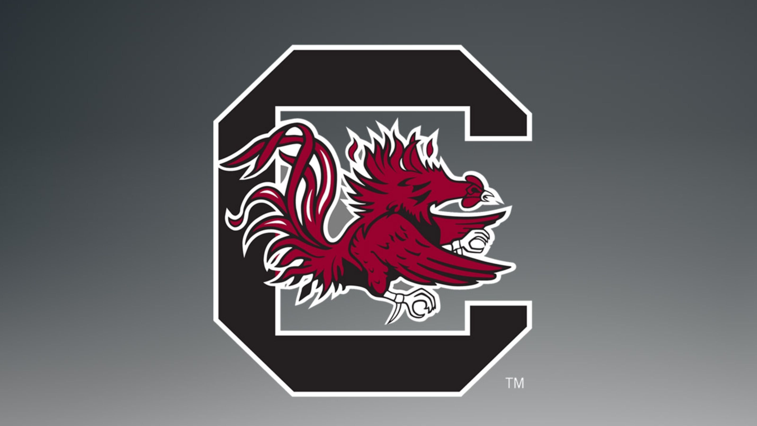 South Carolina Wallpapers