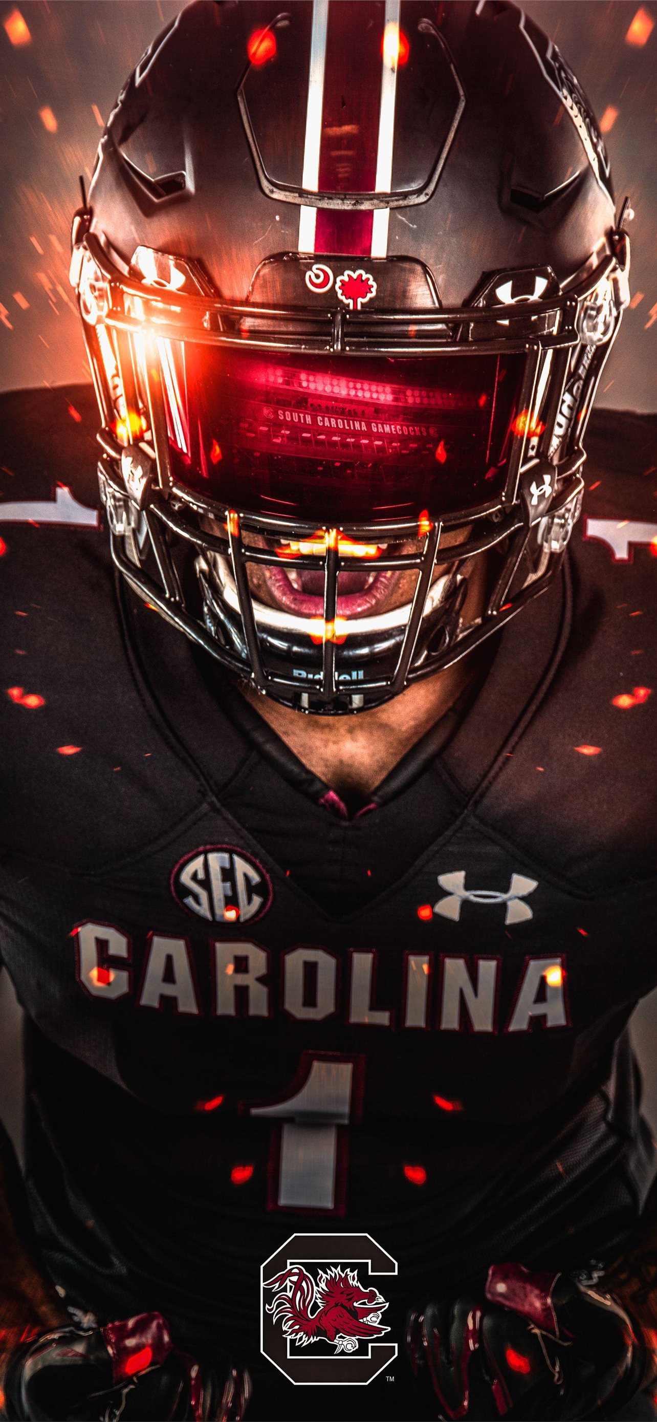 South Carolina Wallpapers