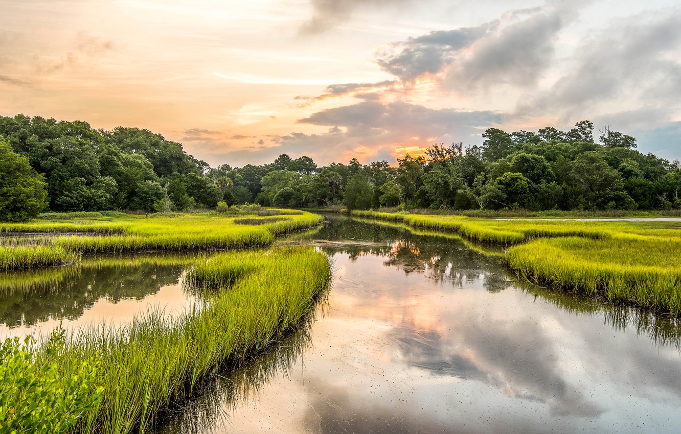 South Carolina Wallpapers