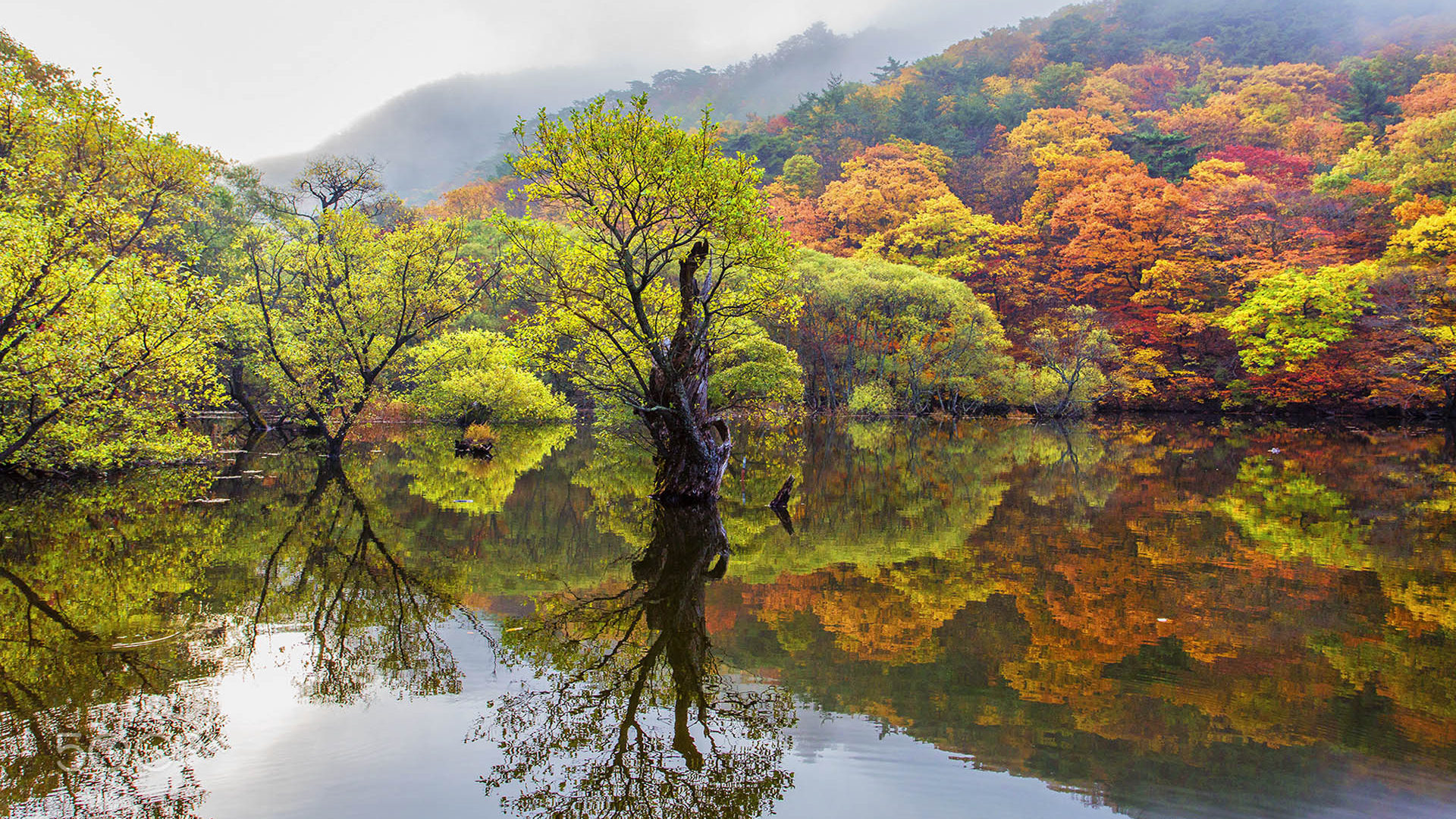 South Korea Countryside Wallpapers