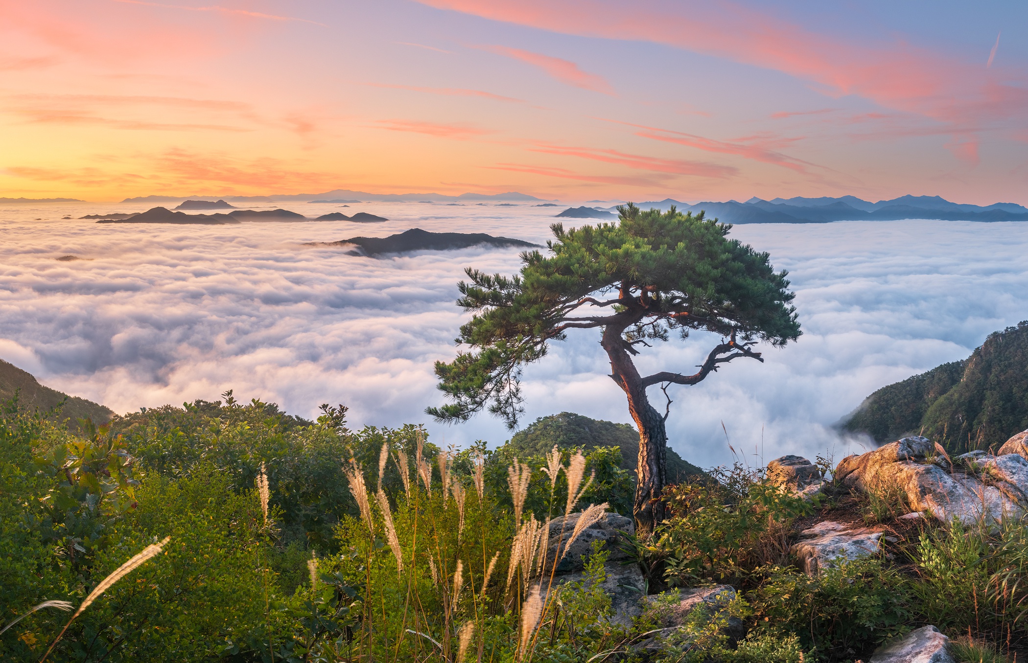 South Korea Countryside Wallpapers