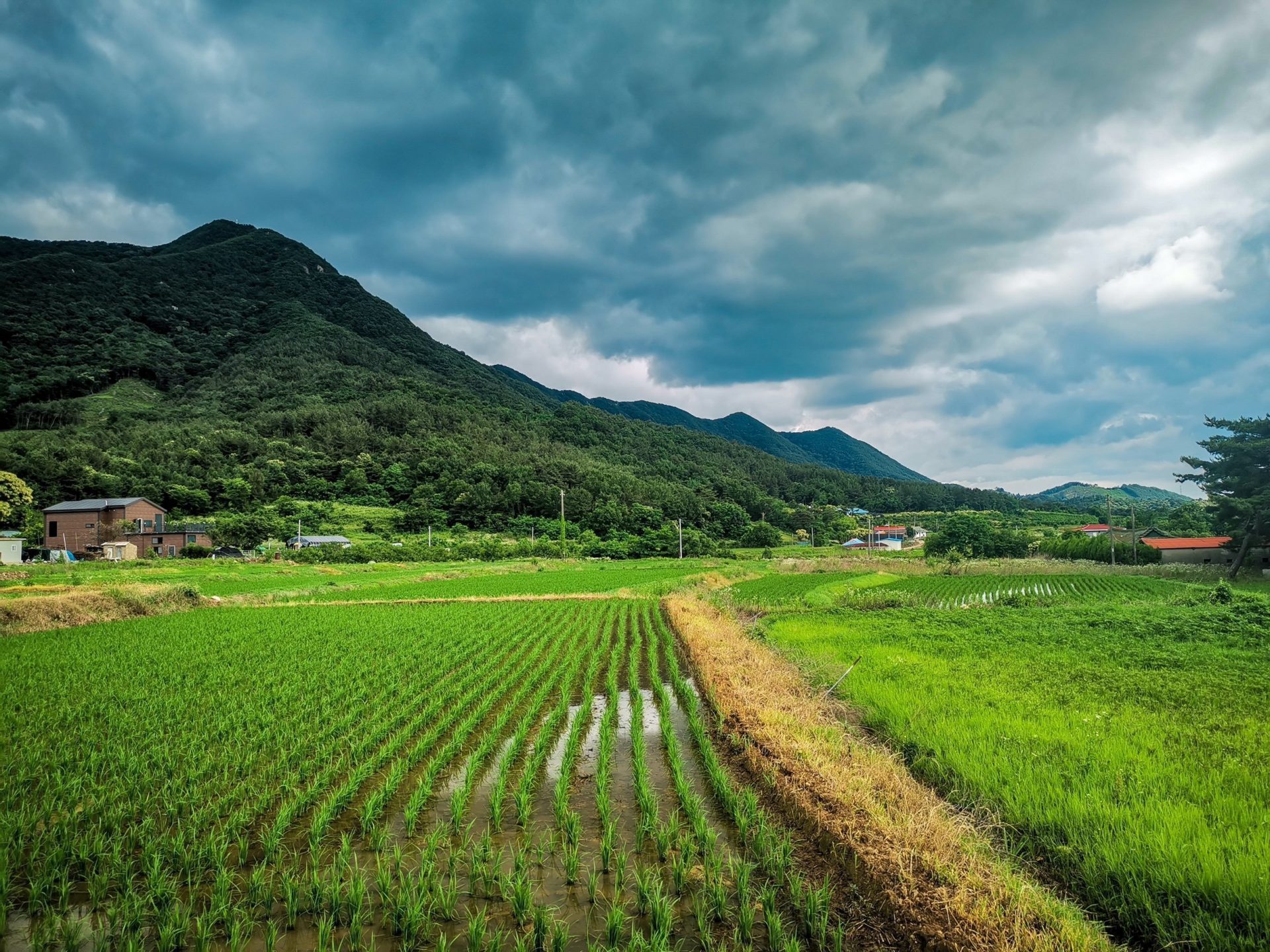 South Korea Countryside Wallpapers