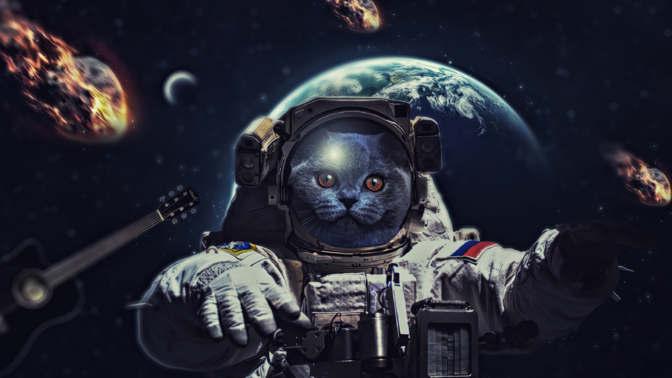 Space Cat Wallpapers