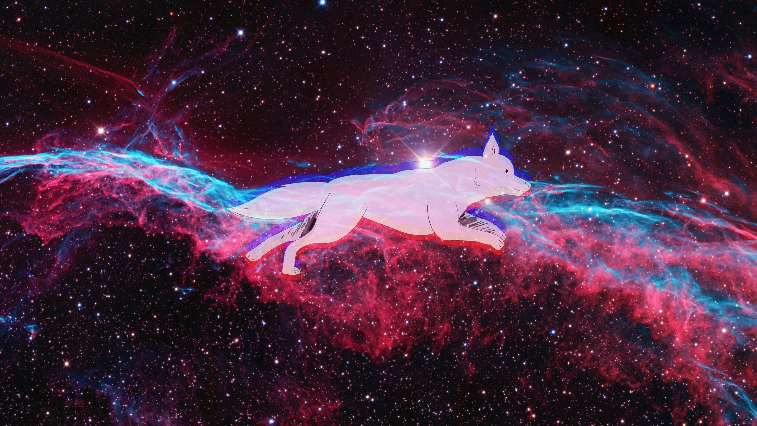 Space Dog Wallpapers