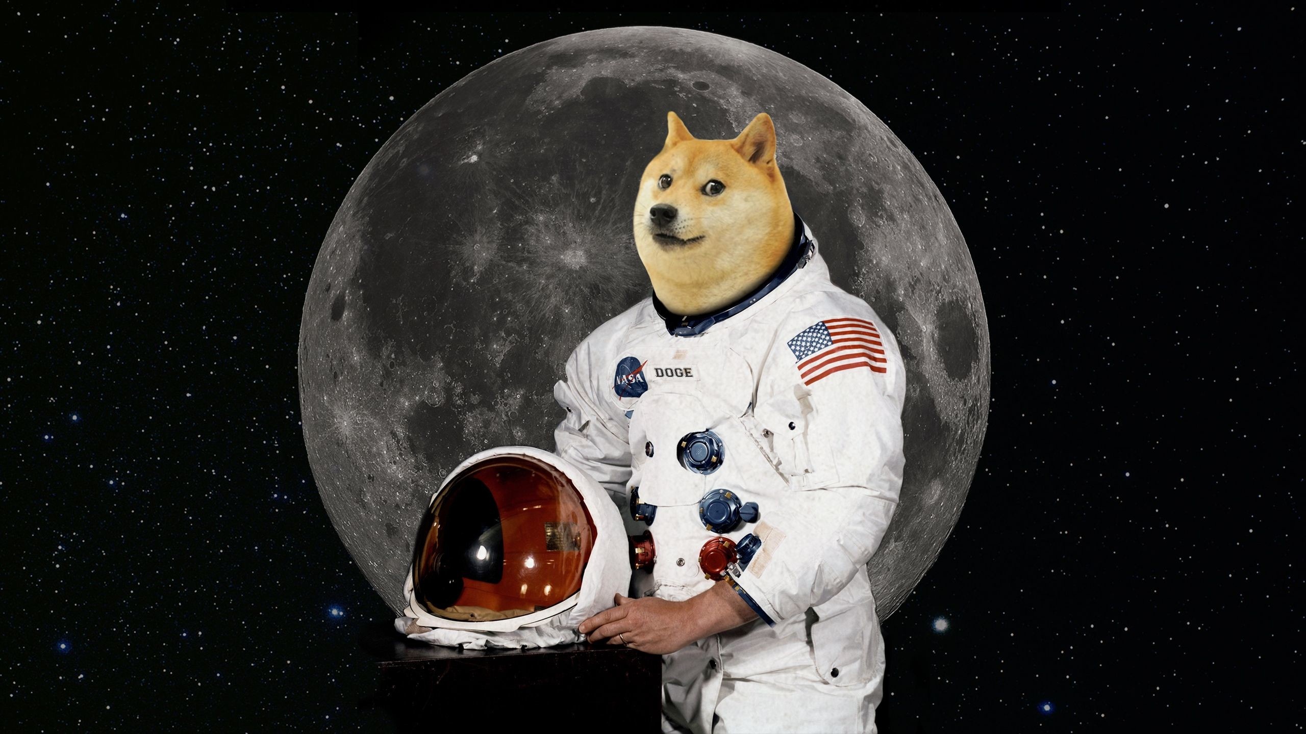 Space Dog Wallpapers