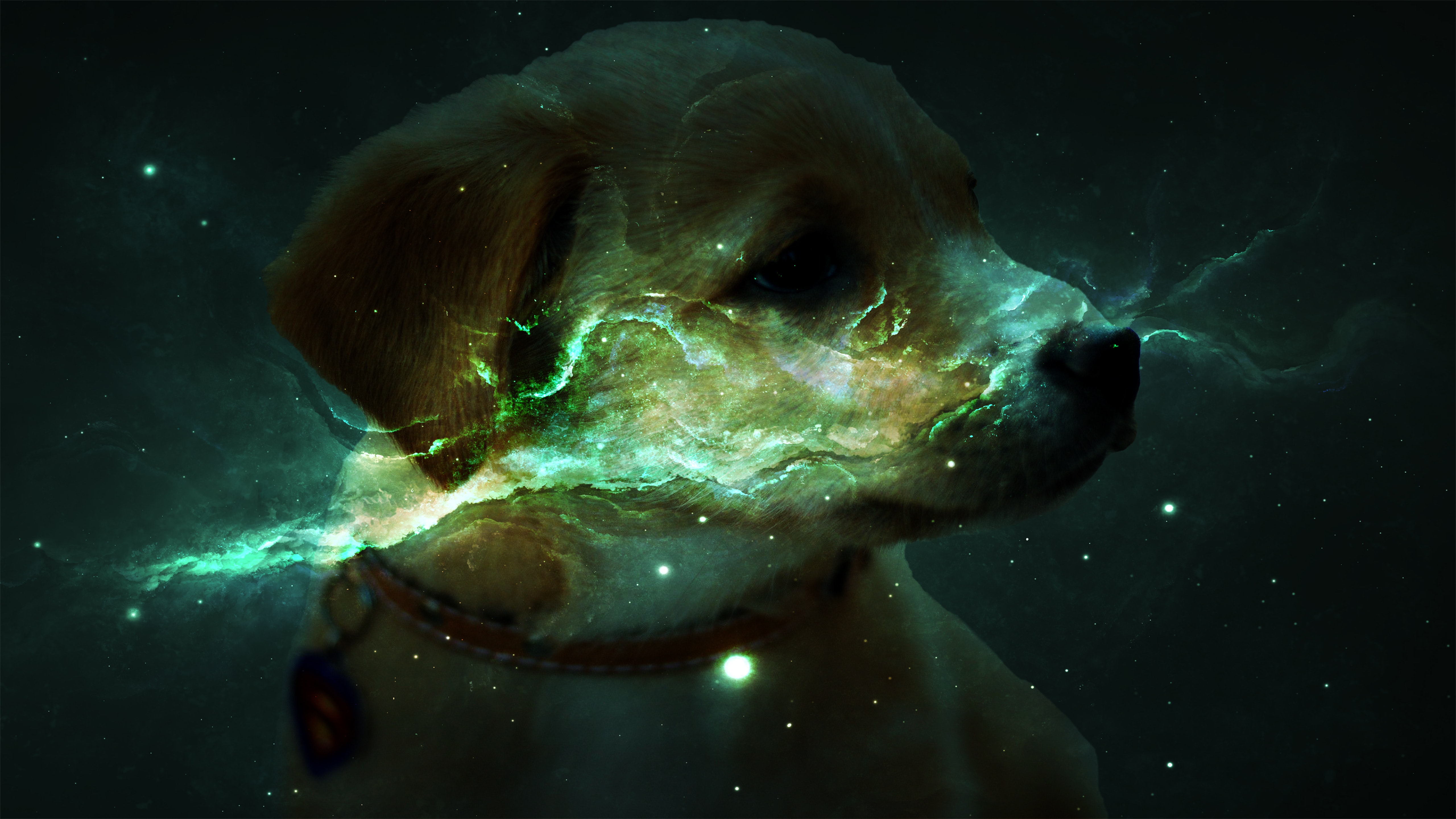 Space Dog Wallpapers