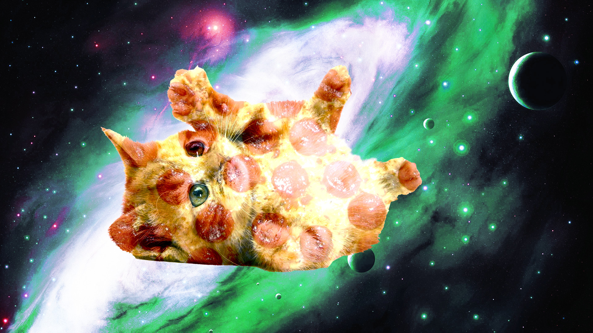 Space Galaxy Cat Wallpapers