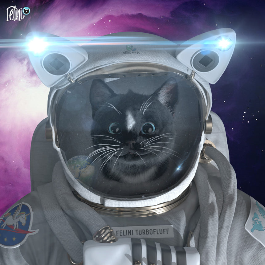 Space Galaxy Cat Wallpapers