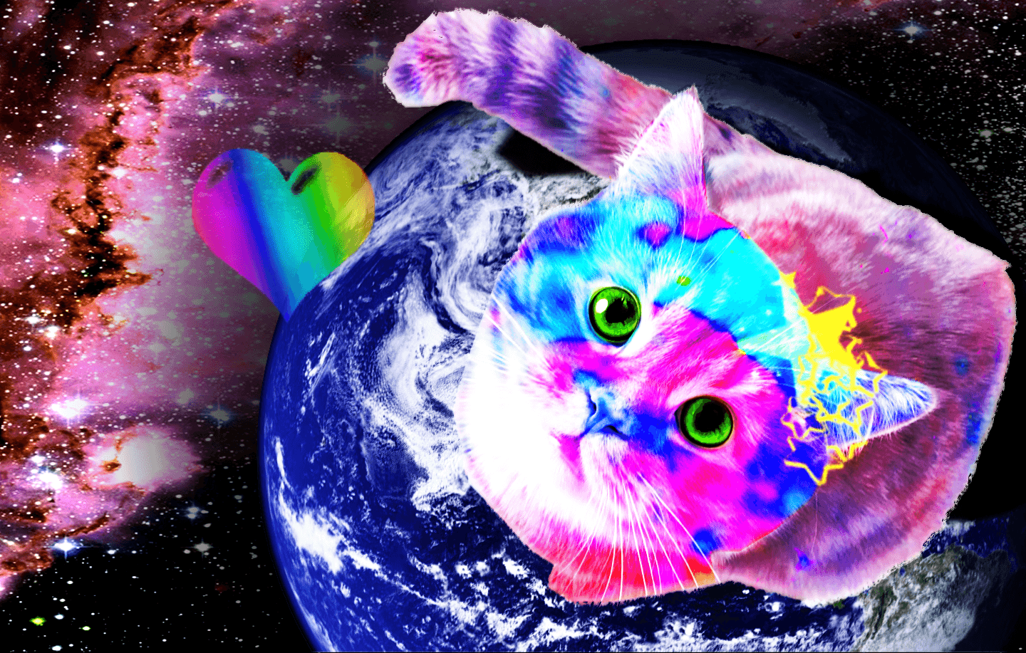 Space Galaxy Cat Wallpapers