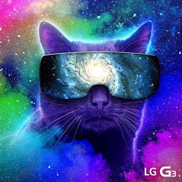 Space Galaxy Cat Wallpapers