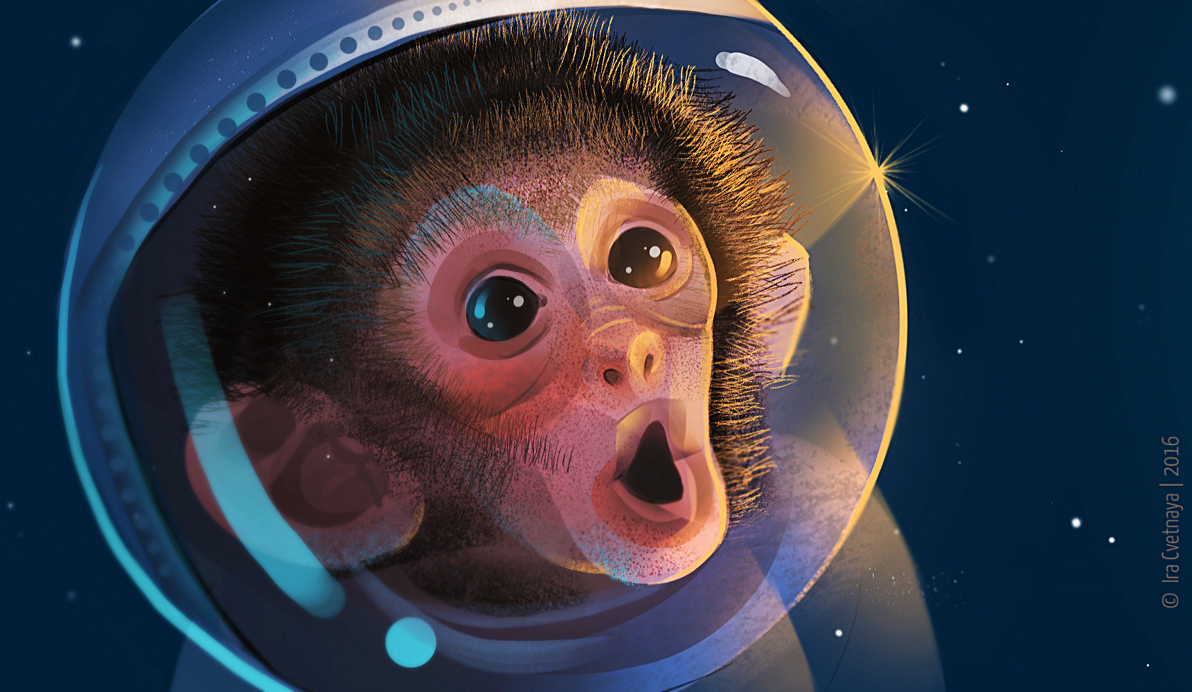 Space Monkey Wallpapers