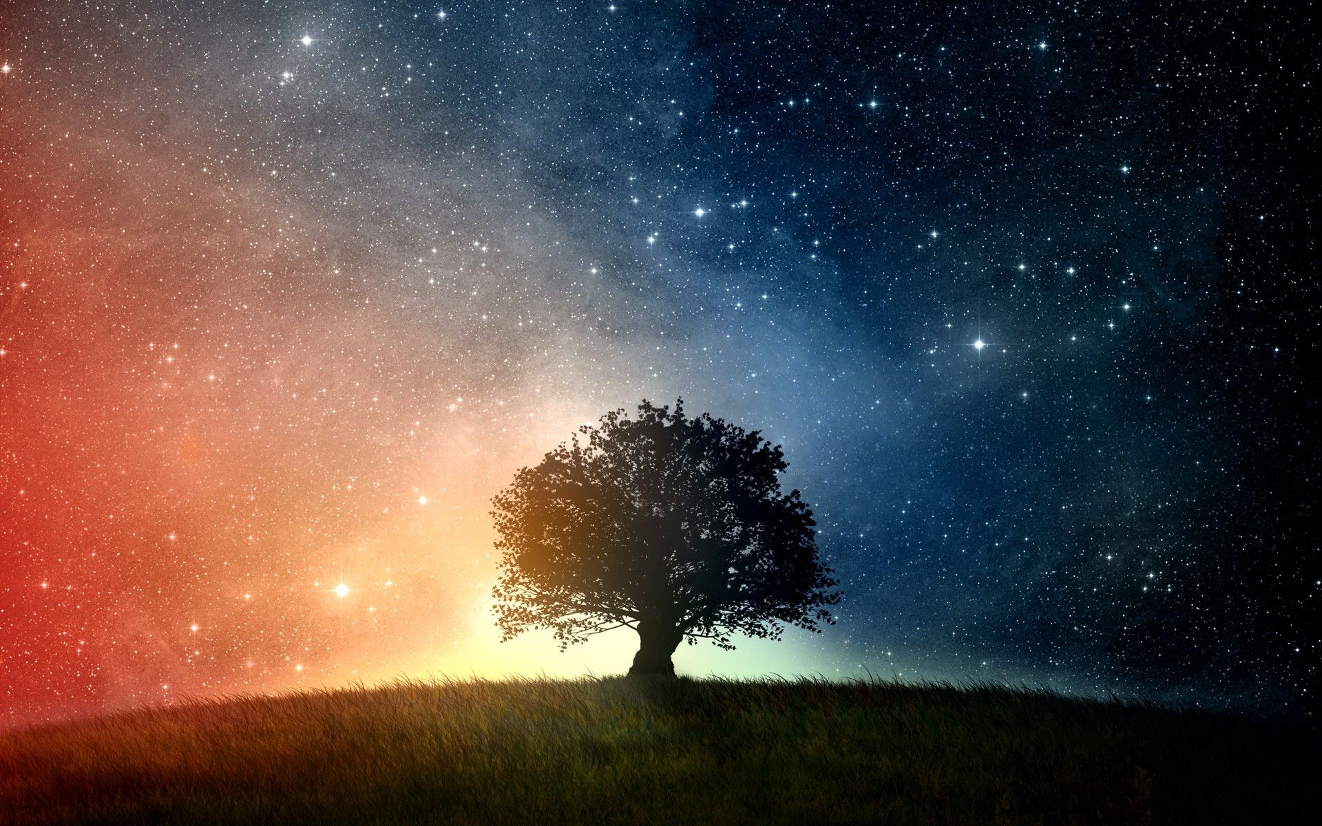 Space Tree Wallpapers