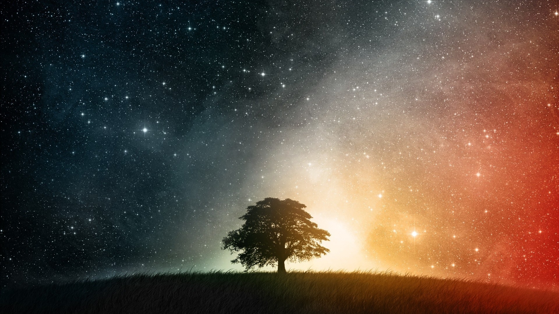 Space Tree Wallpapers