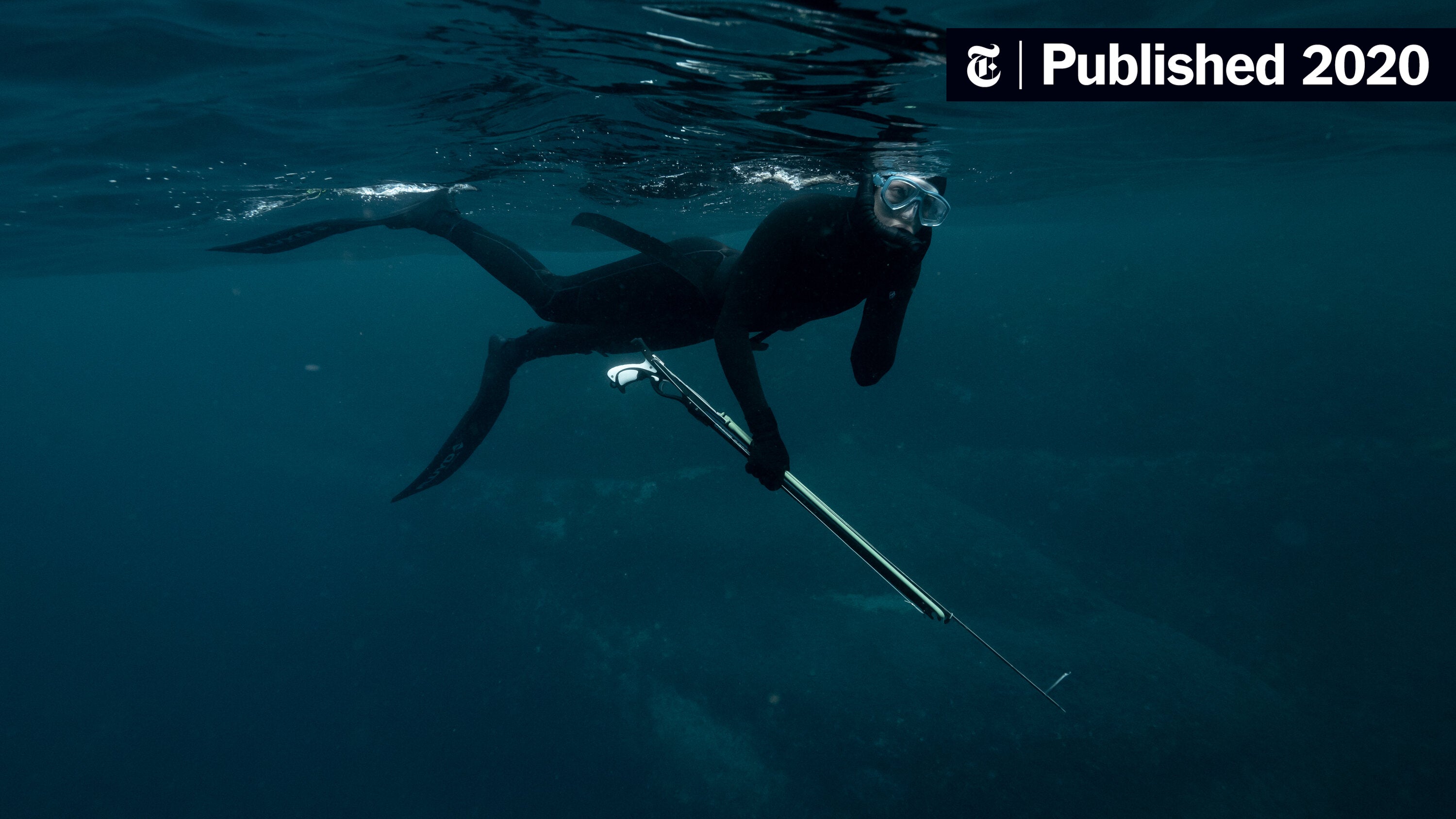 Spearfishing Wallpapers