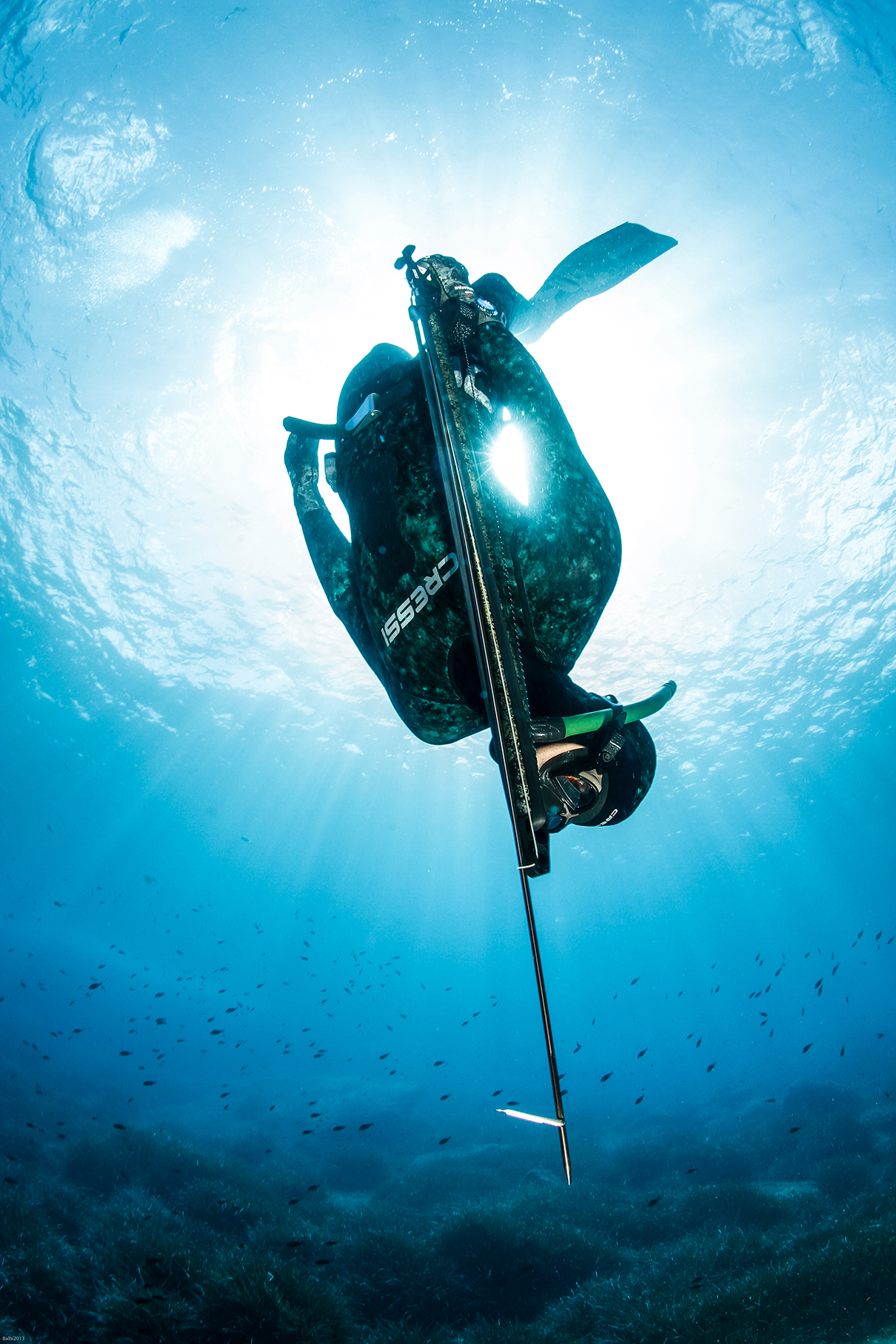 Spearfishing Wallpapers