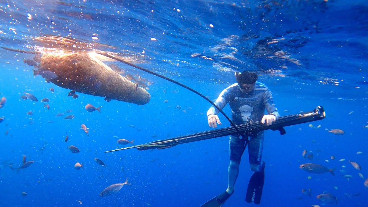 Spearfishing Wallpapers