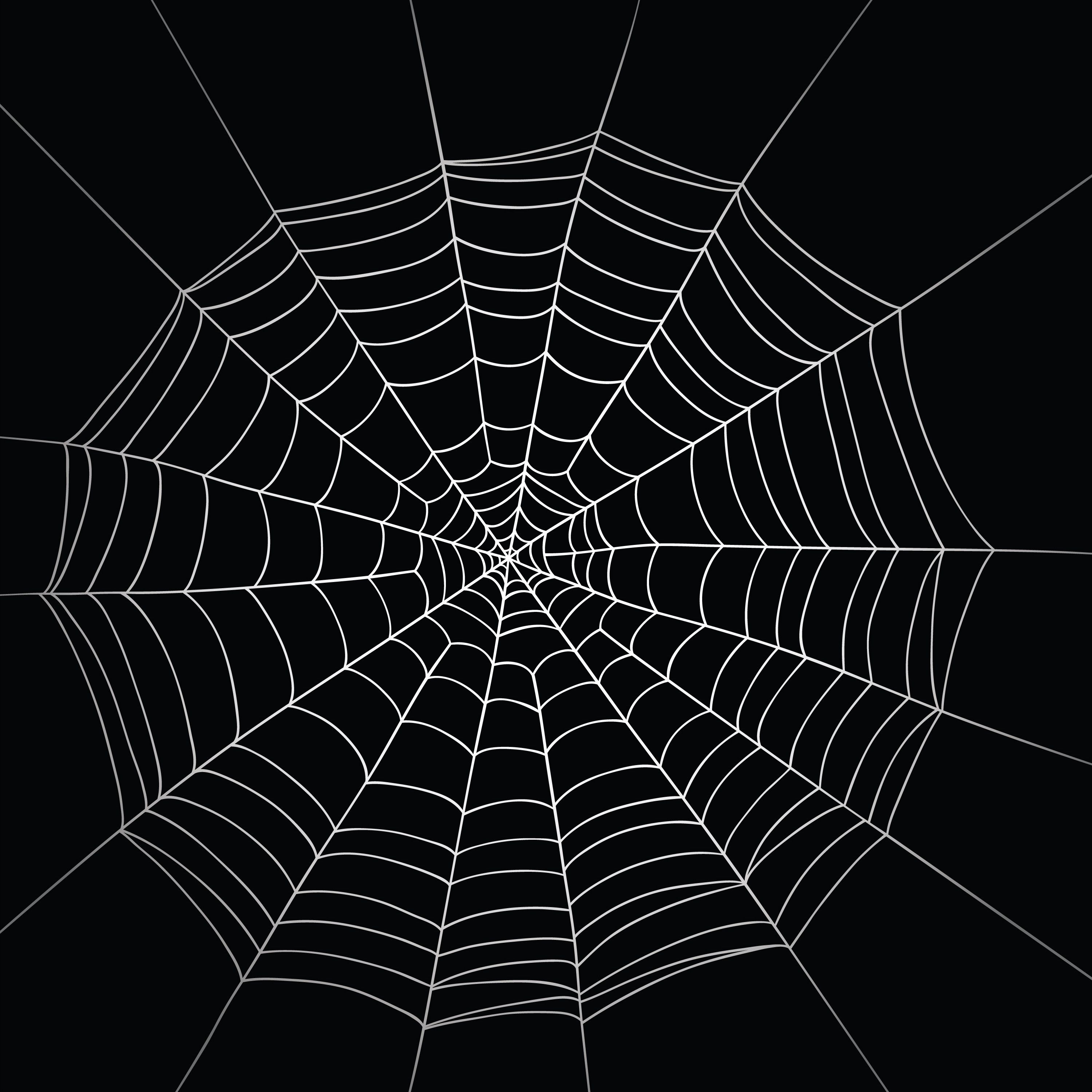 Spider Aesthetic Wallpapers