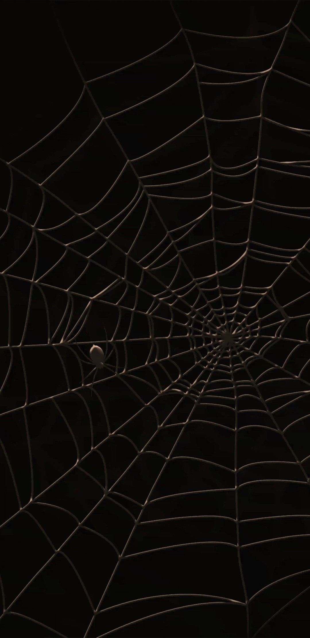 Spider Aesthetic Wallpapers