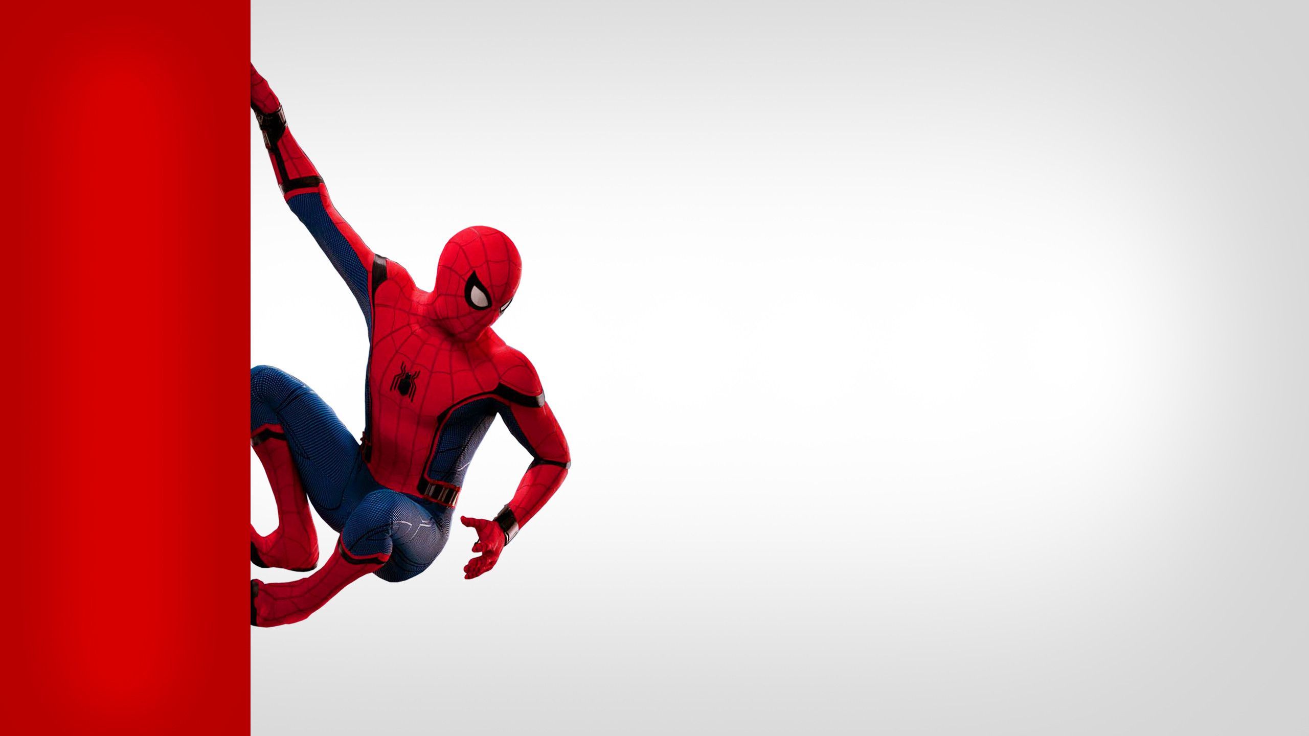 Spider Man Laptop Wallpapers