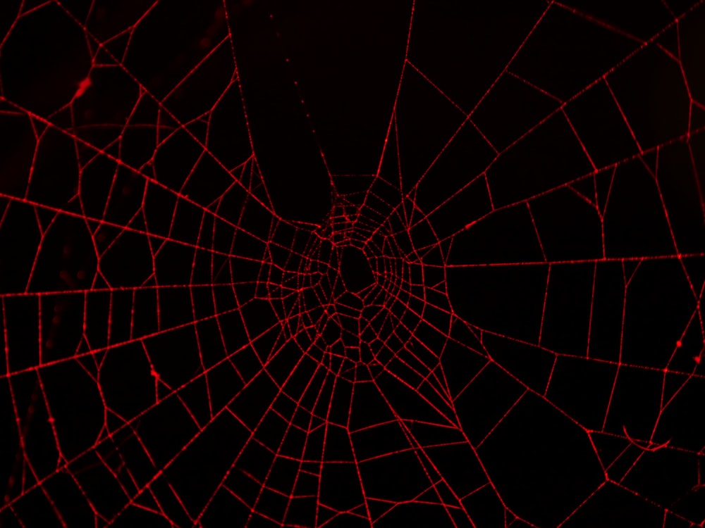 Spider Web Wallpapers